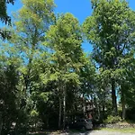 Departamento Camino Al Volcan, Pucon