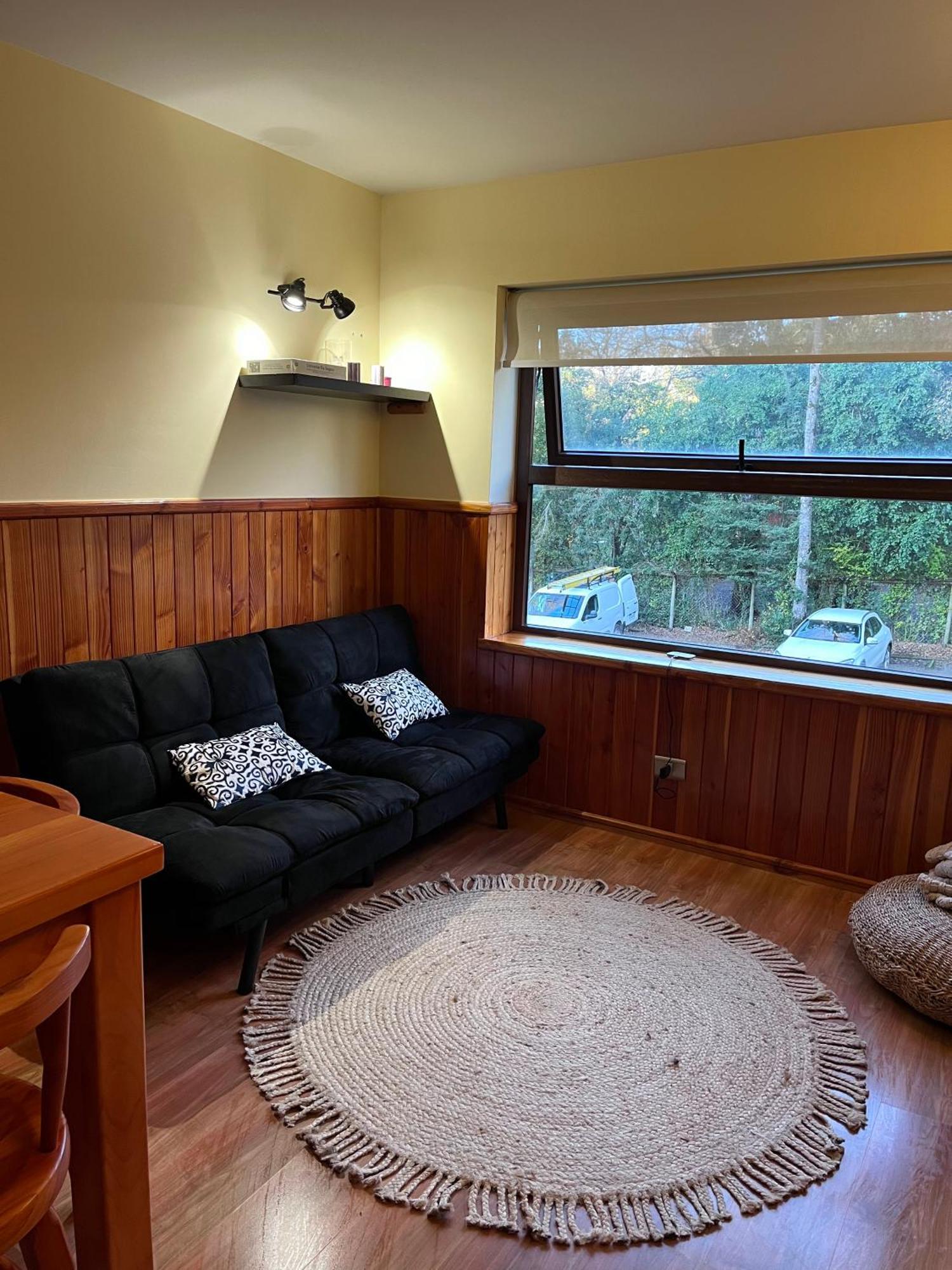 Apartment Departamento Camino Al Volcan, Pucon